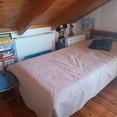Voula's Loft In Lefkas Town Apartment